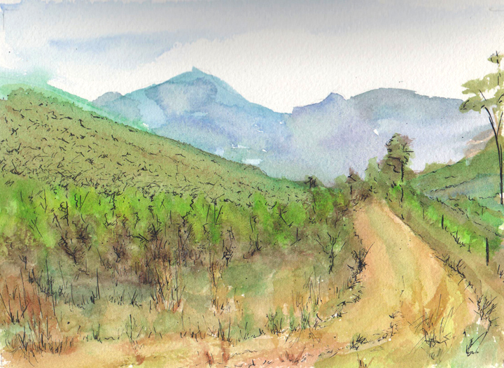 watercolor sketching just for the fun