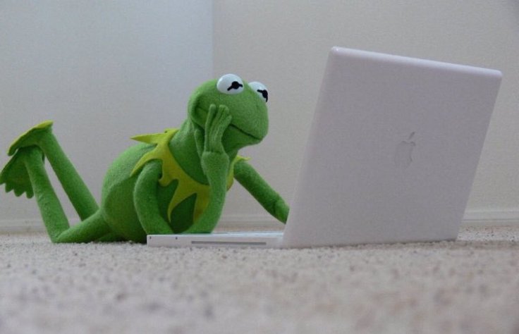 kermit_laptop